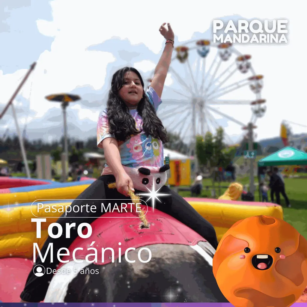 TORO MECÁNICO.webp