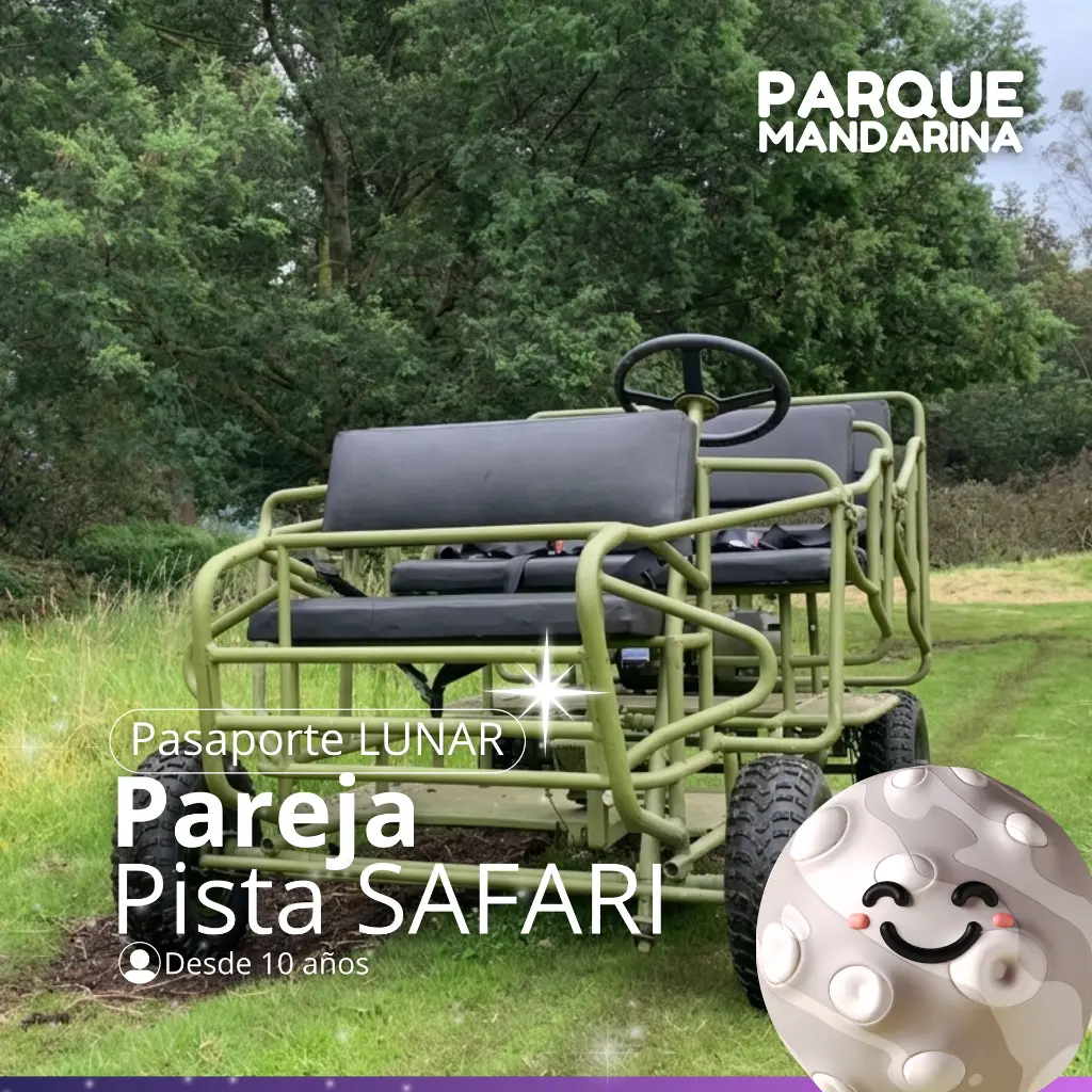 PISTA DE TRIKES.webp