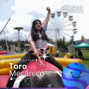 Toro Mecánico