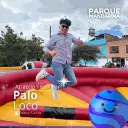 Palo Loco