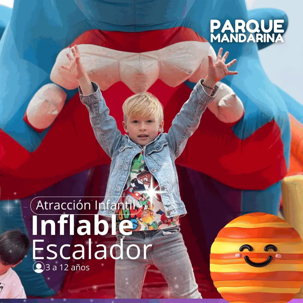 Inflable Escalador